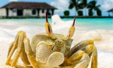 Sri Lanka Trip With Noakhali holidays