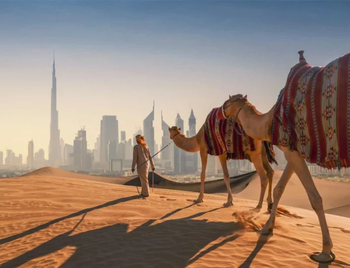 Dubai Visa With Noakhali Holidays