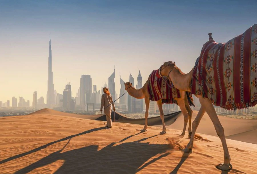 Dubai Visa With Noakhali Holidays